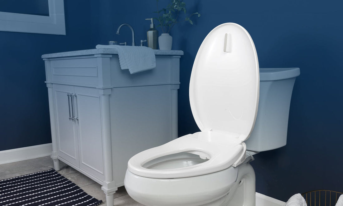 Why Won't My Toilet Flush? Delve into Common Causes