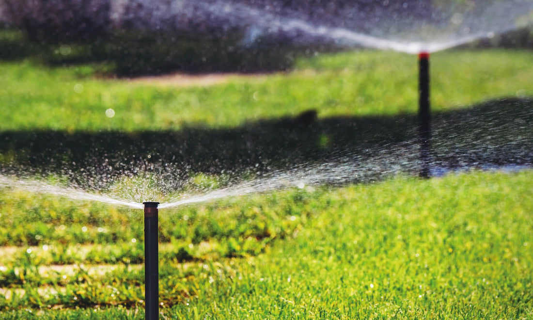 Smart Irrigation Systems: Revolutionizing Water Conservation in 2025