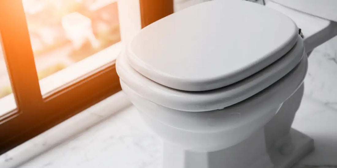 Why Does My Toilet Whistle When I Flush It and How to Fix It?