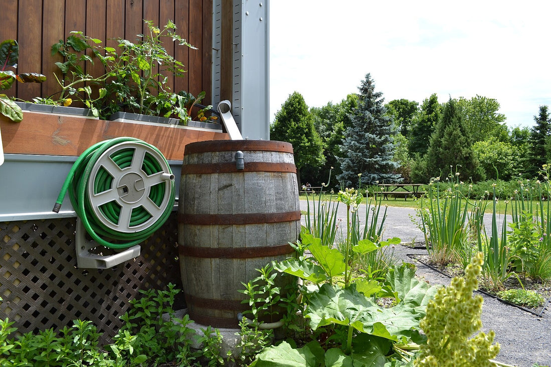 Innovations in Water Conservation: Transforming the Future of Sustainability