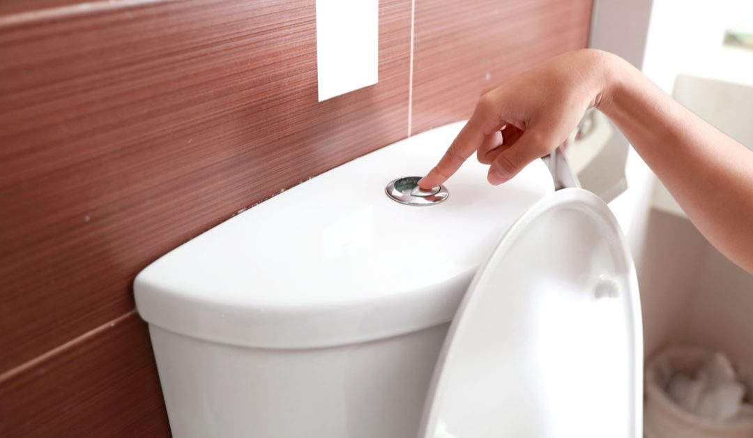 What Causes a Toilet Not to Flush? The Common Culprits