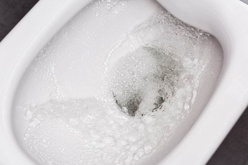 What Happens When You Flush the Toilet? Here's the Tremendous Technology Behind It