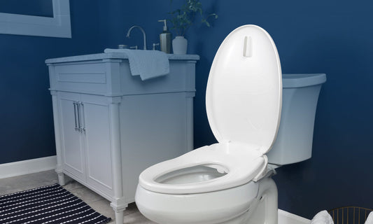 How Does a Dual Flush Toilet Work Efficiently?