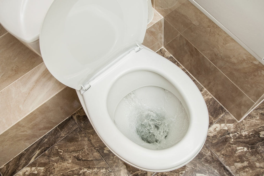 How to Flush a Toilet with a Bucket of Water?