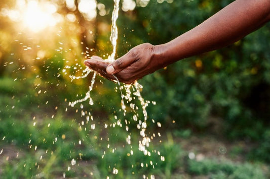 Water Conservation in Landscaping: Tech-Savvy Solutions