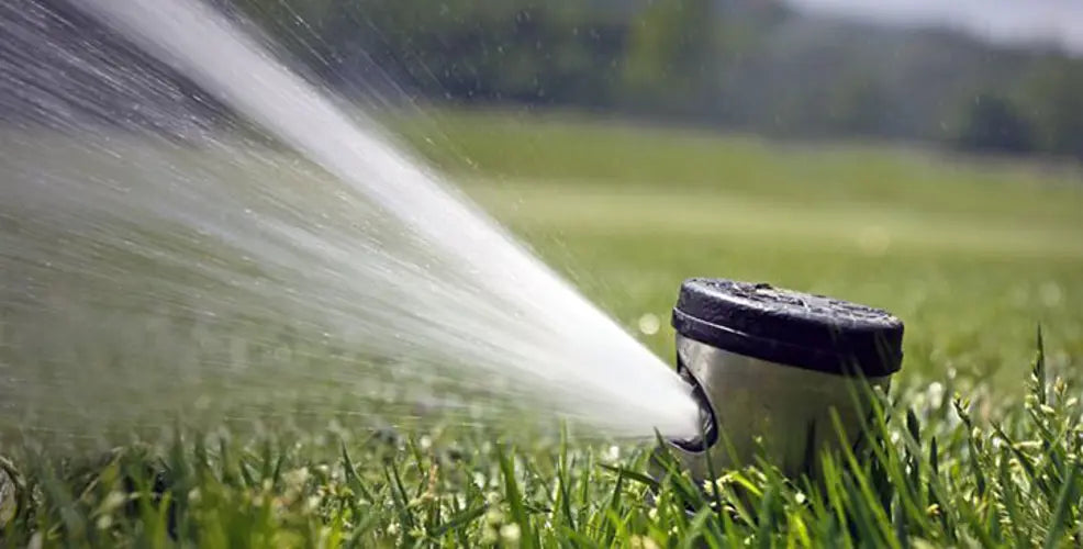 Saving Water in Everyday Life: A Tech Professional's Guide