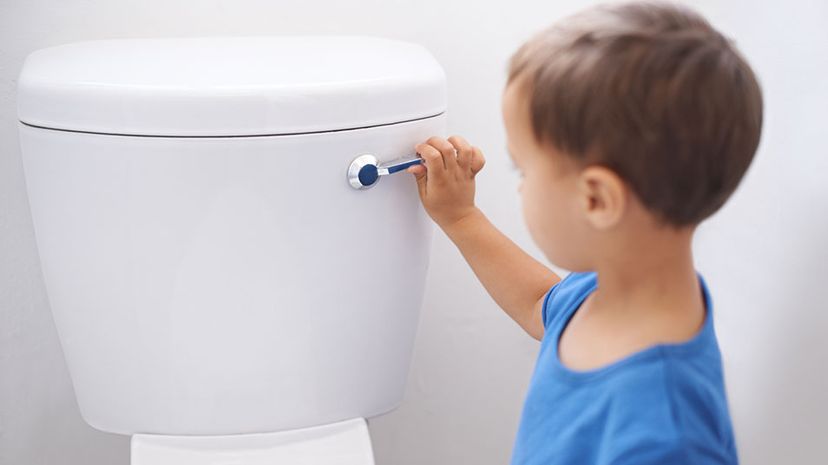 What Is a Dual Flush Toilet and the Benefits You'll Discover?