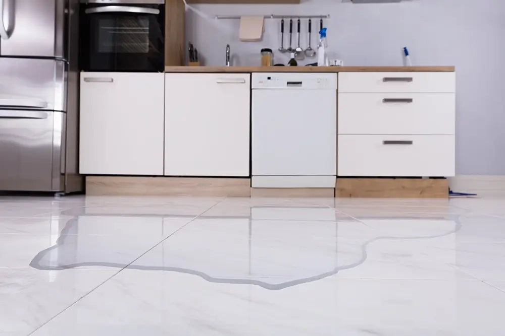 Low Energy Water Leak Detector: Redefining Efficiency in Tech