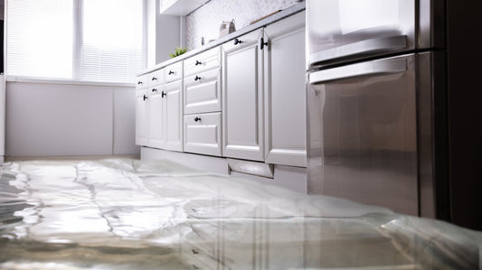 App-Controlled Leak Sensor: What You Need to Know