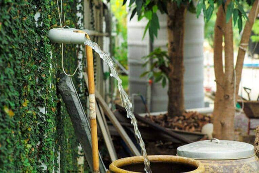 Eco Water Filtration Systems: A Forward-Thinking Guide